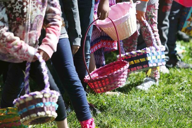 Egg Hunt